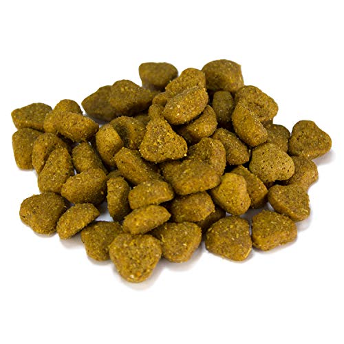 Arquivet Adult Cordero y Arroz - 12 kg - Pienso Natural para Perros Adultos de Todas Las Razas - Alimento seco - Pienso Super Premium Carne Fresca - Salud Pelo, Piel, Huesos y articulaciones