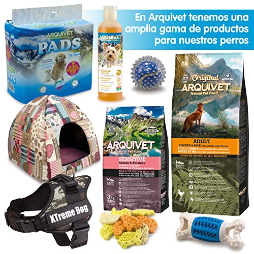 ARQUIVET Bozal Nylon Talla M con Lazo Acolchado para Perros - Paseo, adiestramiento y protección - Color Negro - para Perros medianos - Accesorios caninos