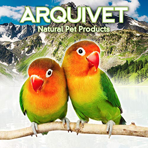 Arquivet Comedero de Acero Inoxidable Loro con palomita 280 ml para pájaros - Accesorios para Aves - Alimentador para pájaros - Contenedor de Comida para Aves