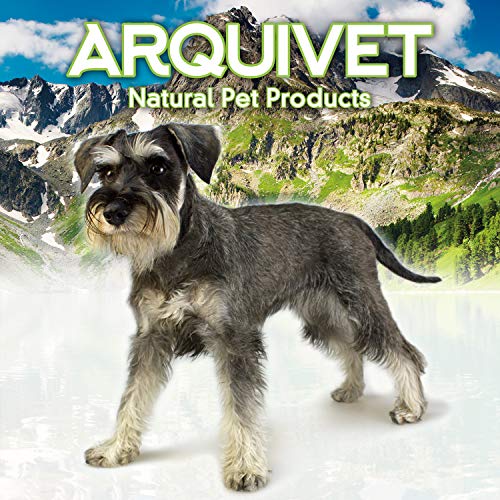 Arquivet Comedero Perro Gato Mascotas - Inoxidable - 350 ml / 13 cm