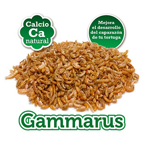 Arquivet Gammarus - Comida Tortugas - Alimentación Natural para Tortugas acuáticas - Alimento Completo para Tortugas de Agua - Alimento Flotante Tortugas - 900 gr - 7.500 ml