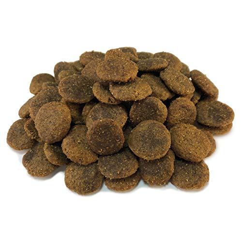 ARQUIVET Grain Free - Adult Salmón y atún con Verduras 12 Kg - Pienso Natural para Perros Adultos de Todas Las Razas - Sin Cereales y sin Gluten - Hipoalergénico - Comida para Perros