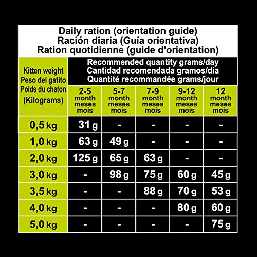 ARQUIVET Kitten Pienso Pavo 1,5 Kg para Gatitos - Pienso Natural con Carne Fresca de Pavo para Gatos de 2 a 12 Meses - Comida Seca para Gatos Junior - Alta digestibilidad, gastrointestinal