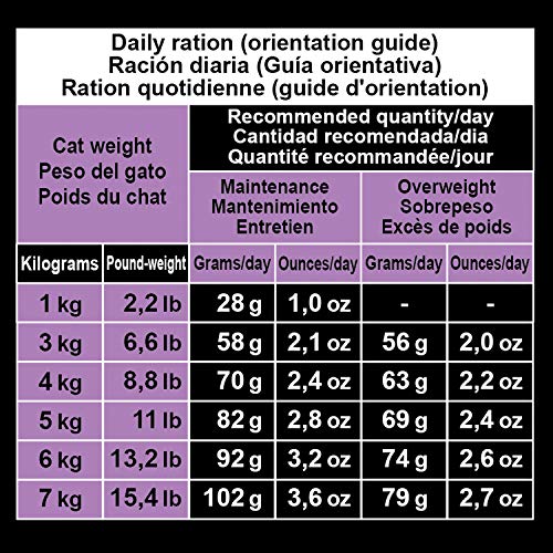 ARQUIVET Pienso esterilizado de Pavo 1,5 Kg para Gatos - Pienso Natural con Carne Fresca de Pavo para Gatos esterilizados Adultos - Alimento Completo para felinos - Sin transgénicos