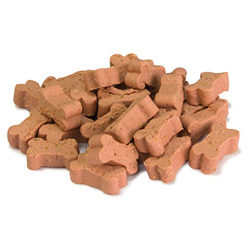 ARQUIVET Soft Snacks Huesitos salmón 100 gr para Perro - Aperitivos para Perro en Forma de Hueso - Chuches, recompensas y premios caninos - Alimento complementario