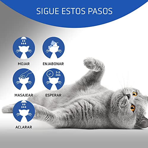 Artero - Champú para Gatos 4cats (250 ml)