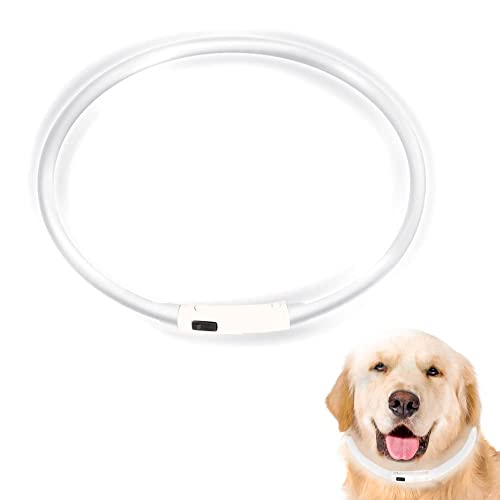 ASANMU Collar de perro LED luminoso, collar para perros, collar luminoso, USB recargable, banda de perro de noche parpadeante, seguridad para perros, cachorros, gatos (color blanco)