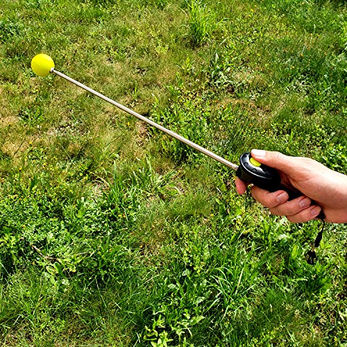 ASCO Target Stick ClickStick®, Target Stick con clicker extraíble, diseño telescópico para Perros, Gatos y Caballos, Entrenamiento con clicker, Negro AC01TCS