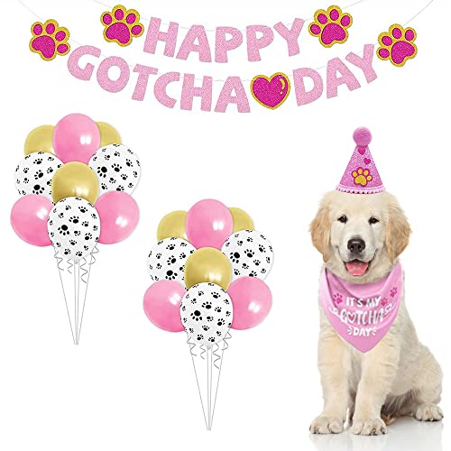 ASOCEA Gotcha Day Bandana para perro para niño y niña bufanda triangular de feliz cumpleaños baberos accesorios de decoración para fiestas de adopción de mascotas sombrero de cono azul pancartas globo