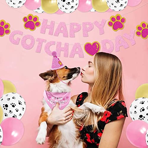 ASOCEA Gotcha Day Bandana para perro para niño y niña bufanda triangular de feliz cumpleaños baberos accesorios de decoración para fiestas de adopción de mascotas sombrero de cono azul pancartas globo