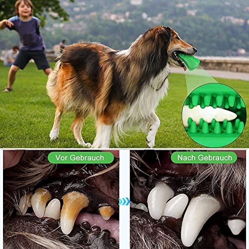 Ausbond Cepillo de Dientes para Perros, Juguete para Masticar de Perros, Limpiador de Dientes Caninos con 2 Cepillos de Limpieza, para El Cuidado Bucal e Limpieza de Dientes, para Perros de 8-25 kg