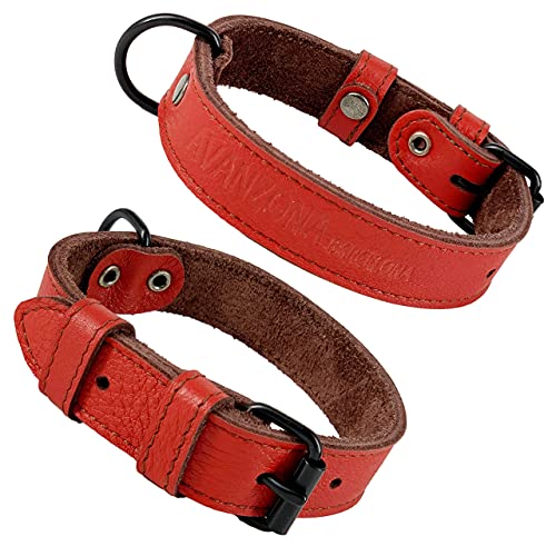 AVANZONA Collar Perro Cuero Auténtico, Combinado con 2 Colores, Suave como la Seda Pero Ultra Resistente. Muy Cómodo y Ligero, Hecho en Mano para Perros Pequeños, Medianos y Grandes. XS.