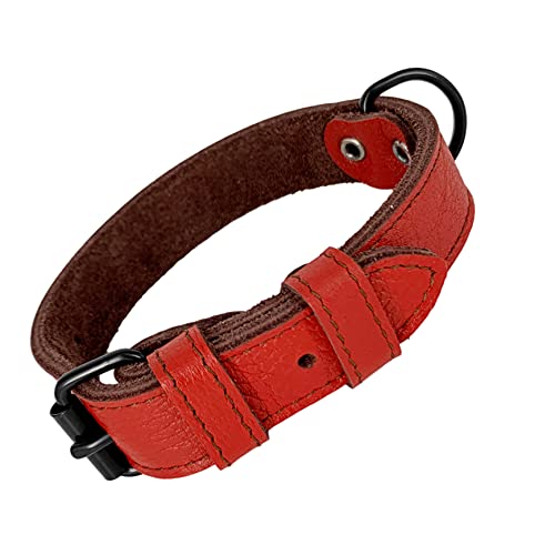 AVANZONA Collar Perro Cuero Auténtico, Combinado con 2 Colores, Suave como la Seda Pero Ultra Resistente. Muy Cómodo y Ligero, Hecho en Mano para Perros Pequeños, Medianos y Grandes. XS.