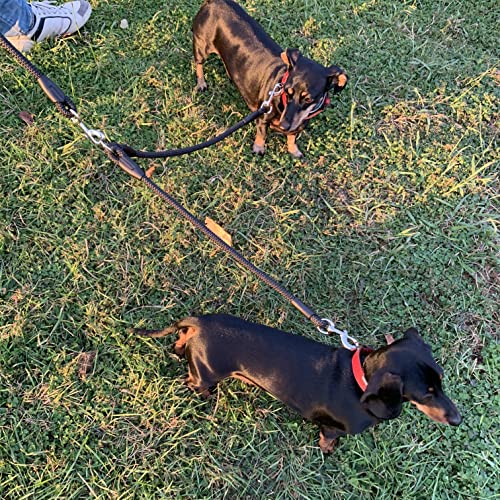 AVANZONA Correa Perro Doble Nylon Redondo, Hecho a Mano en la UE, Antitirones para Pasear 2 Perros, Entrenamiento para Perros pequeños medianos y Grandes 55cm (Negro)