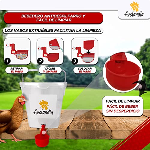 Avelandia [4KG + 5L] Comedero para gallinas Anti Desperdicio 4 KG con Sistema Anti Lluvia y tapón Anti Roedores + 1 Bebedero 5 L de Regalo. Aprovecha el 100% del pienso