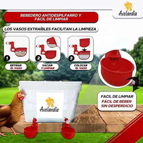 AVELANDIA Comedero para gallinas y Pollos Grande Anti despilfarro 15kg + Bebedero 5 litros de Regalo: Sistema Anti Lluvia y Anti Desperdicio. Aprovecha el 100% del pienso. para Exteriores (2 Puertos)