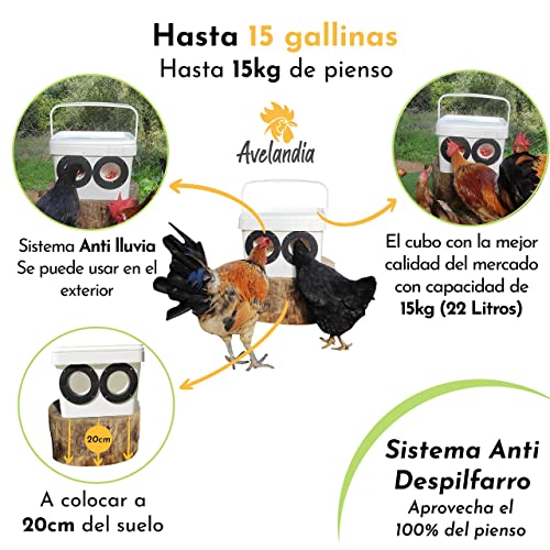 AVELANDIA Comedero para gallinas y Pollos Grande Anti despilfarro 15kg + Bebedero 5 litros de Regalo: Sistema Anti Lluvia y Anti Desperdicio. Aprovecha el 100% del pienso. para Exteriores (2 Puertos)