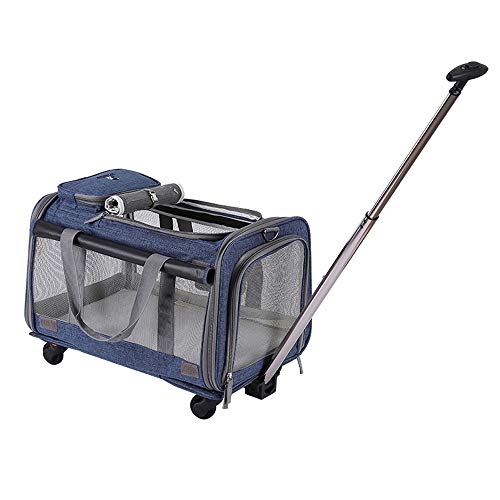 B-1 Transportin para Perros Gatos Trolley Mascota con Asa Telescópica Viaje Mochila Bolsa De Asas De Ruedas Portátil Grande del Equipaje De 50Cm X 30Cm X 33Cm,Light Blue