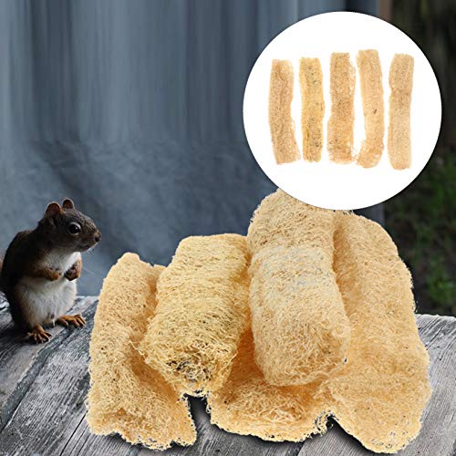 Balacoo 5 Piezas de Lufa Natural Juguetes para Masticar Hámster Juguetes para Masticar Loro Jaula Trituradora Juguete Pájaro Lufa Juguetes para Animales Pequeños Conejos Chinchillas