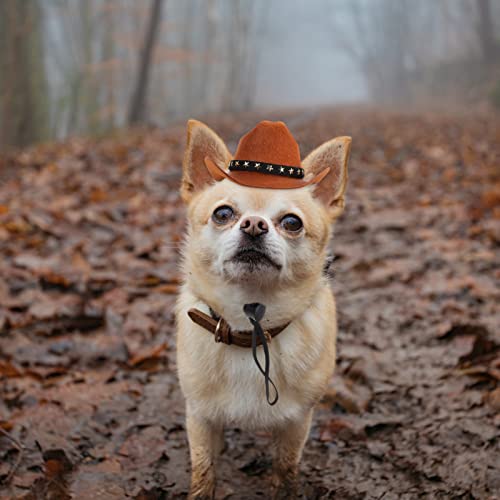 Balacoo HUNTIER - Sombrero de vaquero para perro, gorro de pepei, gorro ajustable, accesorio para disfraz de cowboy para cachorros, para fiestas, foto M