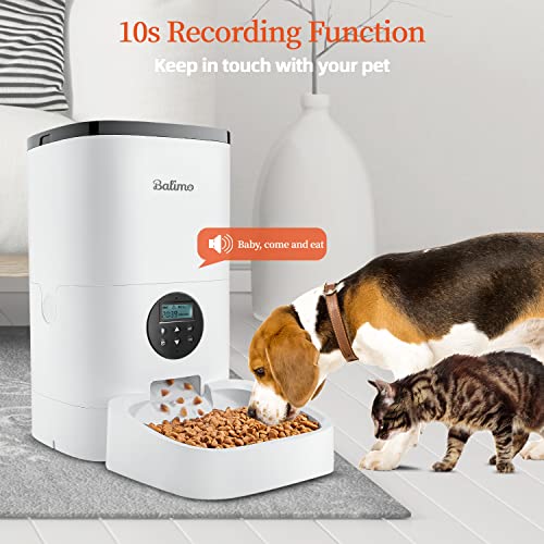 Balimo Duke Comedero automático para Gatos y Perros, 4 litros, dispensador automático de Comida con Temporizador, Pantalla LCD y grabación de Sonido