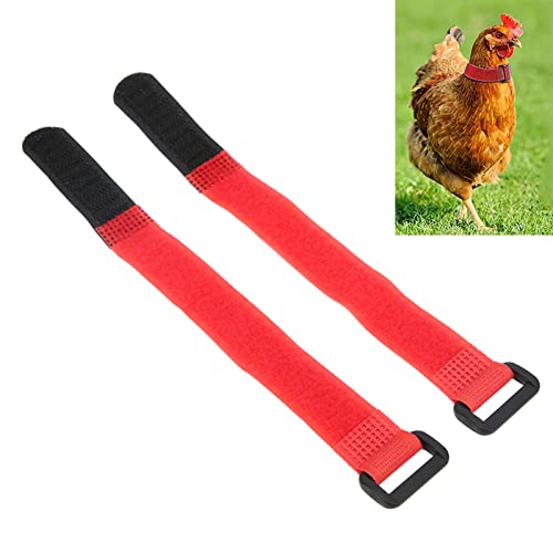 Banda para el Cuello de Pollo, No Cruel Cinturón de Nylon para el Cuello de Pollo sin Ruido Seguro Ajustable Durable para Gallos Gallo(Rojo, Potenciar)