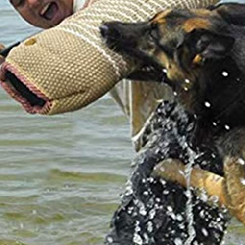 Baoblaze Funda para mordida de Perro, Entrenador de Brazos para Cachorros, protección para Entrenamiento, Protectores para mastín, Bulldog, Bullmastiff