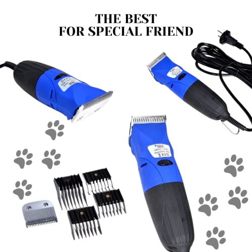 Bass - Máquina de Afeitar inalámbrica para Perros y Gatos (Recargable, 35 W)