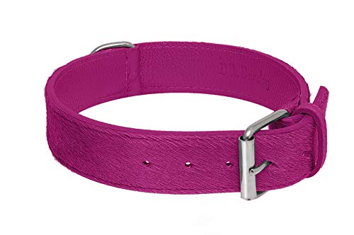 BB_Bardog Collar artesanal de piel estilo caballo fucsia, talla XS (Artisan Collar Calf Hair Leather Fucsia, Size XS)