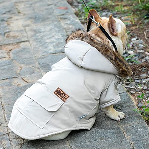 BCASE, Abrigo para Perro, con Capucha de Pelos, Ropa para Mascotas, Resistente al Agua y al Viento con Forro Interior de Algodón Suave y Cálido, Perros y Gatos. Color Beige. Tallas S, M, L y XL