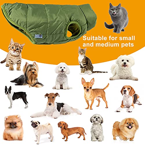 BCASE, Chaleco para Mascota, Ropa de Invierno Cálida y Resistente al Frío, Interior con Forro Acolchado, Ropa para Gato, Ropa para Perro, Color Verde. Tallas S, M, L y XL