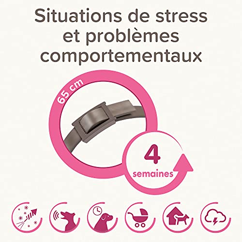 Beaphar CANICOMFORT - Collar calmante de feromonas para Perros - Reduce el estrés y el Comportamiento no Deseado sin dependencia ni somnolencia - Listo para Usar - 1 Collar de 65 cm