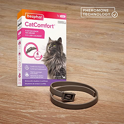 Beaphar – Collar calmante de feromonas para Gatos y Gatitos – Reduce el estrés y los Problemas de Comportamiento sin dependencia ni somnolencia – 1 Collar de 35 cm