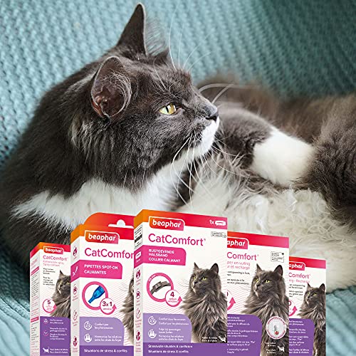 Beaphar – Collar calmante de feromonas para Gatos y Gatitos – Reduce el estrés y los Problemas de Comportamiento sin dependencia ni somnolencia – 1 Collar de 35 cm