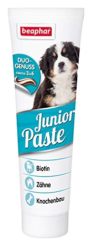 Beaphar Junior Pasta Perro | Pasta de Montaje para niño Perros | Cachorros de Fuga erli para Fuerte Huesos & Dientes | con Biotina & Omega 3 & 6 | con vitaminas B | 100 g Tube