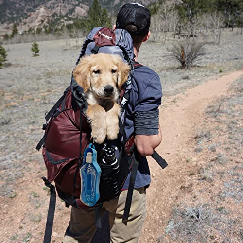 Bebedero de Viaje para Perros 500ML. Bebedero Portátil Perros. Botella de Agua para Perros Portátil. Ref.51186