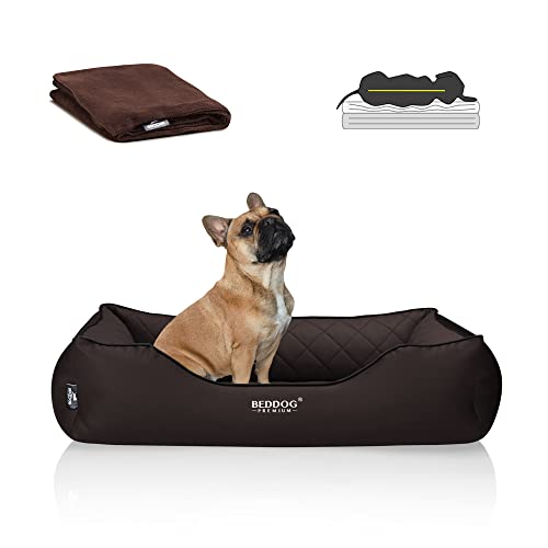 BedDog Premium Cama ortopédica para Perro Buffy, Espuma con Memoria, sofá para Perro, Felpa Regalo - Chocolate (marrón)