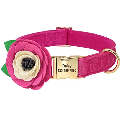 Beirui Collar de Terciopelo Suave para Perro con Accesorios de Flores extraíbles,Collar de Perro Personalizado con Placa de Nombre–Collar Adorable para Perros pequeños medianos Grandes(Rosa Fuerte,M)