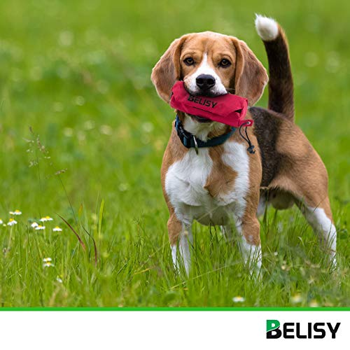 BELISY Bolsa Entrenamiento Perro – Dispensador de Comida y Golosinas para Educación de Mascotas – Contenedor de Recompensas para Perros Grandes, Medianos y Pequeños – Juego de Adiestramiento – Rojo