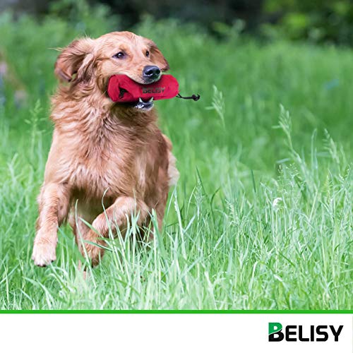 BELISY Bolsa Entrenamiento Perro – Dispensador de Comida y Golosinas para Educación de Mascotas – Contenedor de Recompensas para Perros Grandes, Medianos y Pequeños – Juego de Adiestramiento – Rojo