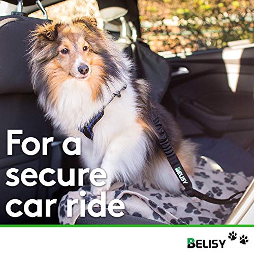 BELISY Correa Perro Coche en Nylon Elástico Ajustable – Cinturon Perro/Gato Coche – Correa Ajustable (60-80cm) para la Máxima Comodidad – Perros Grandes y Pequeños - Negro