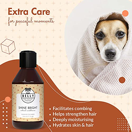 Belly Acondicionador Perro para Pelo Brillante - Acción Hidratante, Suavizante y Desenredante Pelo Perros - Acondicionador para Perros Pelo Largo y Corto - Complemento Ideal al Champu Perros, 250 ml