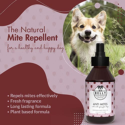 Belly Anti Mites Anti Pulgas - Spray Natural Antiácaros para Perros - Spray Antipulgas Perros y Cachorros - Anti Ácaros con Aceite de Geranio y Limón - Repelente de Garrapatas Natural y Vegano - 250ml