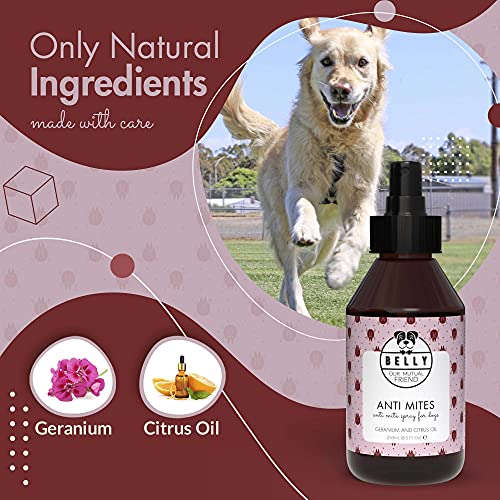 Belly Anti Mites Anti Pulgas - Spray Natural Antiácaros para Perros - Spray Antipulgas Perros y Cachorros - Anti Ácaros con Aceite de Geranio y Limón - Repelente de Garrapatas Natural y Vegano - 250ml