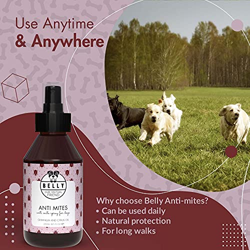 Belly Anti Mites Anti Pulgas - Spray Natural Antiácaros para Perros - Spray Antipulgas Perros y Cachorros - Anti Ácaros con Aceite de Geranio y Limón - Repelente de Garrapatas Natural y Vegano - 250ml