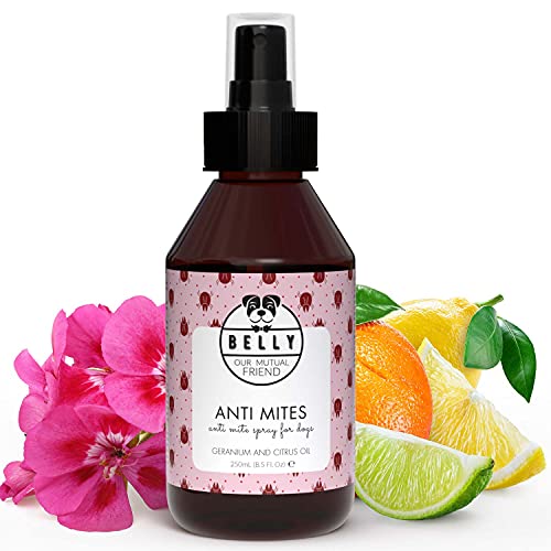 Belly Anti Mites Anti Pulgas - Spray Natural Antiácaros para Perros - Spray Antipulgas Perros y Cachorros - Anti Ácaros con Aceite de Geranio y Limón - Repelente de Garrapatas Natural y Vegano - 250ml