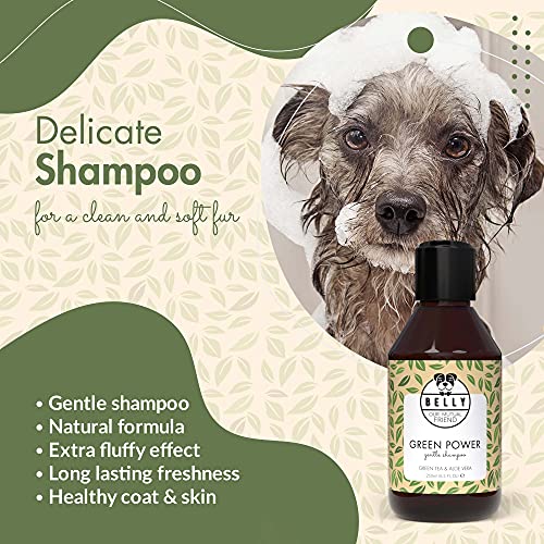 BELLY Champu para Perros con Aloe Vera - Champu Perros Piel Sensible e Irritada - Champú Perros Pelo Blanco y Oscuro - Champu Perros Dermatitis, Hidrata y Suaviza - Champu Hipoalergenico Perros, 250ml