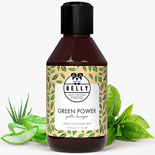 BELLY Champu para Perros con Aloe Vera - Champu Perros Piel Sensible e Irritada - Champú Perros Pelo Blanco y Oscuro - Champu Perros Dermatitis, Hidrata y Suaviza - Champu Hipoalergenico Perros, 250ml