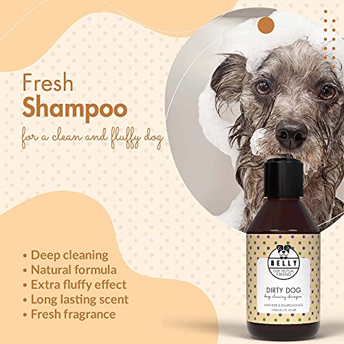 Belly Champu Perros, Fragancia Lavanda y Pomelo - Champu para Perros, Limpia e Hidrata - Champu Perros Dermatitis con Aloe Vera - Champu Perros Pelo Blanco - Champu Perros Cachorros y Adultos, 250ml