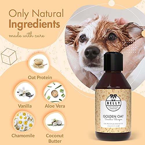 Belly Champu Perros Piel Sensible con Avena - Champu para Perros, Calma el Picor y la Irritación - Champú Perros Cachorros y Adultos - Champu Perros Dermatitis - Champu Hipoalergenico Perros, 250 ml